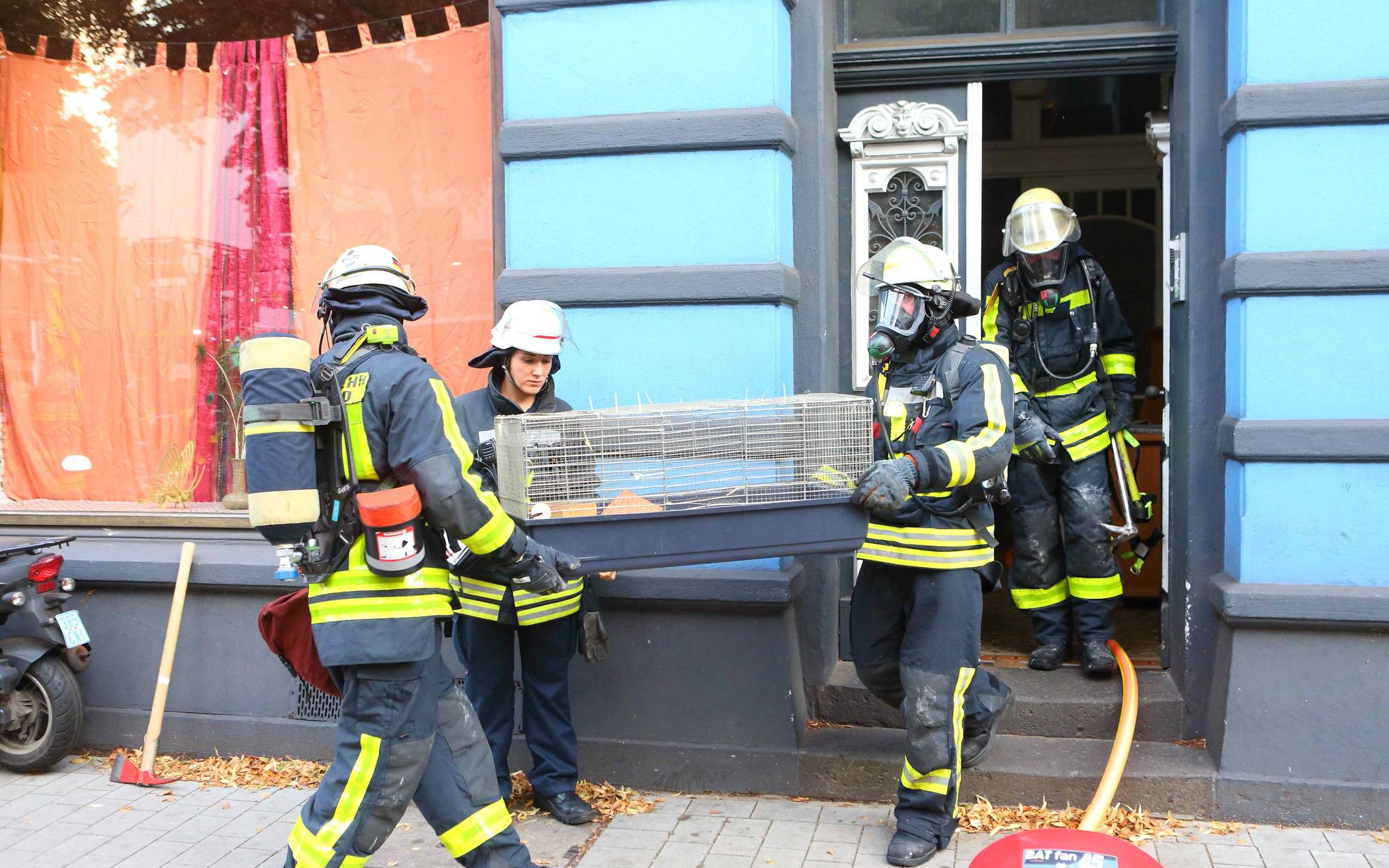 Wohnungsbrand bleibt ohne Verletzte - Feuerwehr rettet Haustier