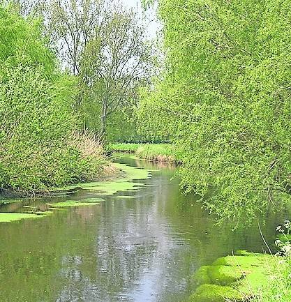 Das Nierswasser ist gut.