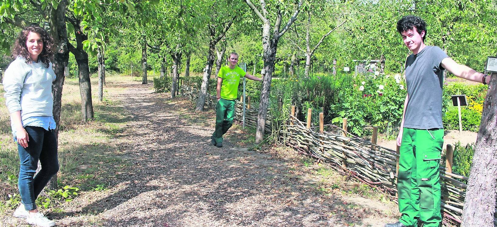 Grüne Gasse zu mehr Umweltbewusstsein: Jana Reddig und ihre derzeitigen FÖJ-ler Etienne (r.) und Jasper (hinten) pflegen nicht nur die Landschaft, sondern weisen Jugendlichen den Weg zu einem verantwortlichen Umgang mit der Natur.