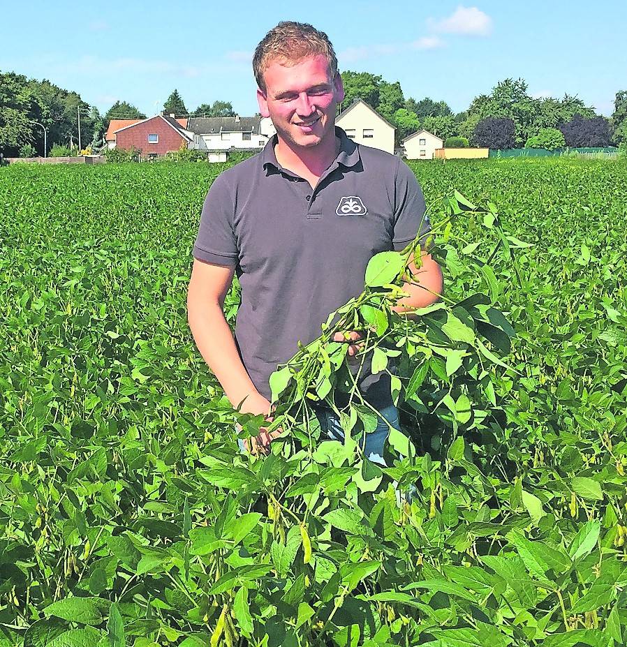  Der Korschenbroicher Landwirt Tobias Windbergs hat den Sojaeinstieg gewagt – und ist bisher vollauf zufrieden mit der Entwicklung seiner Pflanzen. 