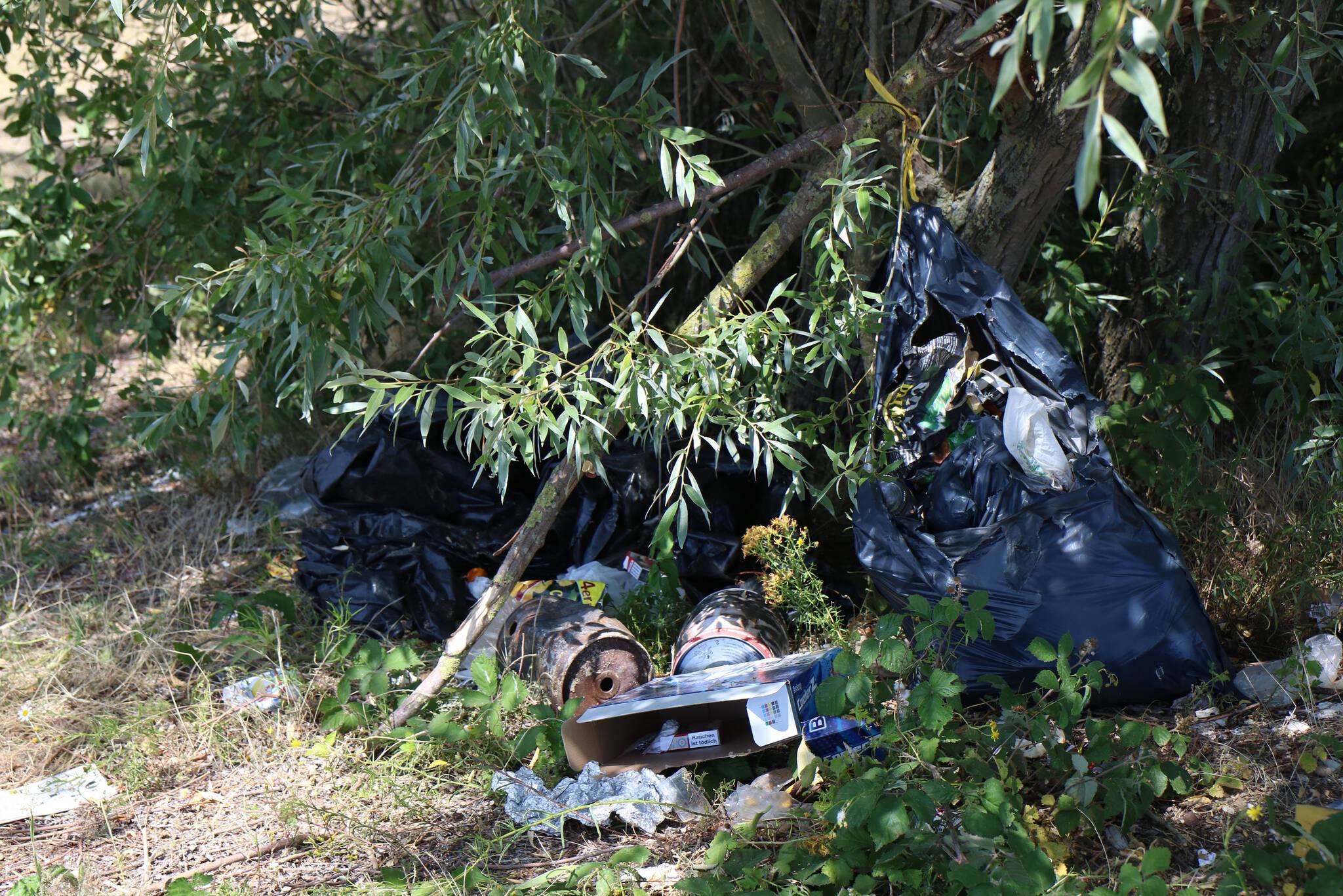  Müll und andere Hinterlassenschaften: So sah es zeiweise am Könighshüttesee aus.  