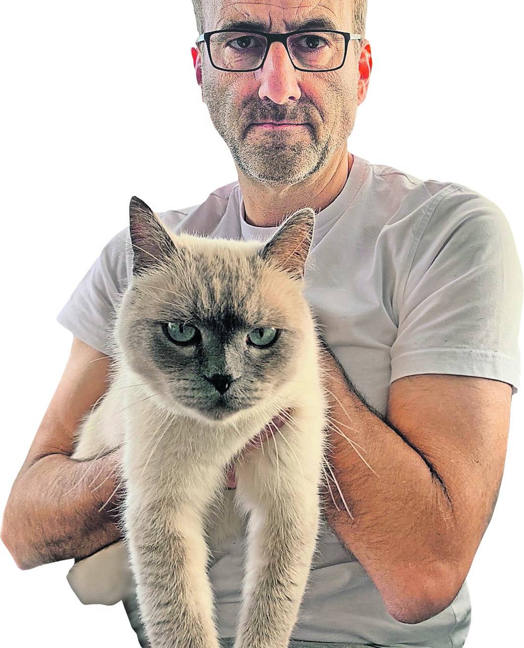 Wieder vereint: Britisch Kurzhaar-Kater Freddy und sein Besitzer, Thomas Pauli.