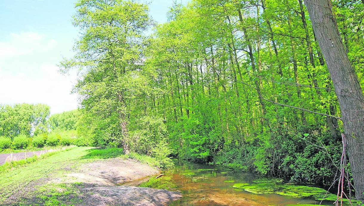 Die Radroute des Monats führt auch vorbei an der renaturierten Cloer, hier am Bettrather Dyck.