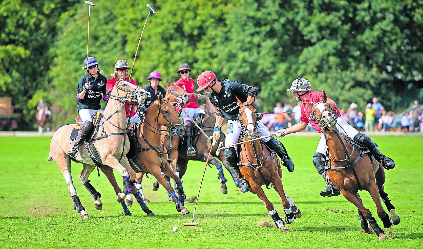 Polo, der schnellste Rasensport, ist für Groß und Klein spannend. Der Rhein Polo Club Düsseldorf freut sich am Wochenende, 14. und 15. September, auf zahlreiche Gäste und rasanten Sport.