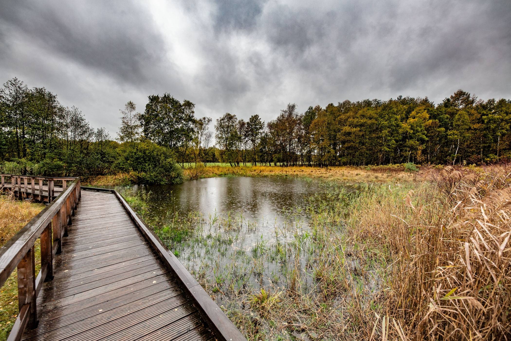 Der Niederrhein am Venekotensee. 