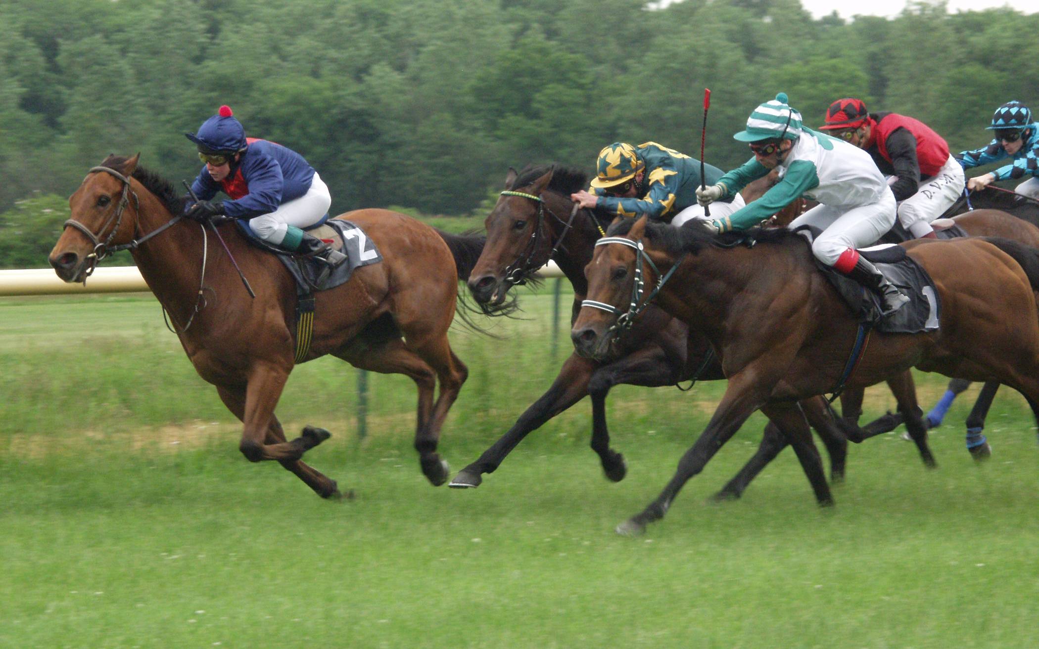 Attraktion Pferderennen.