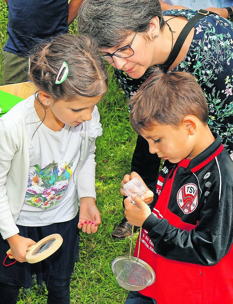  Die Kinder der Bewegungskita Gänseblümchen testen Utensilien des Mobilen Waldlabors. 