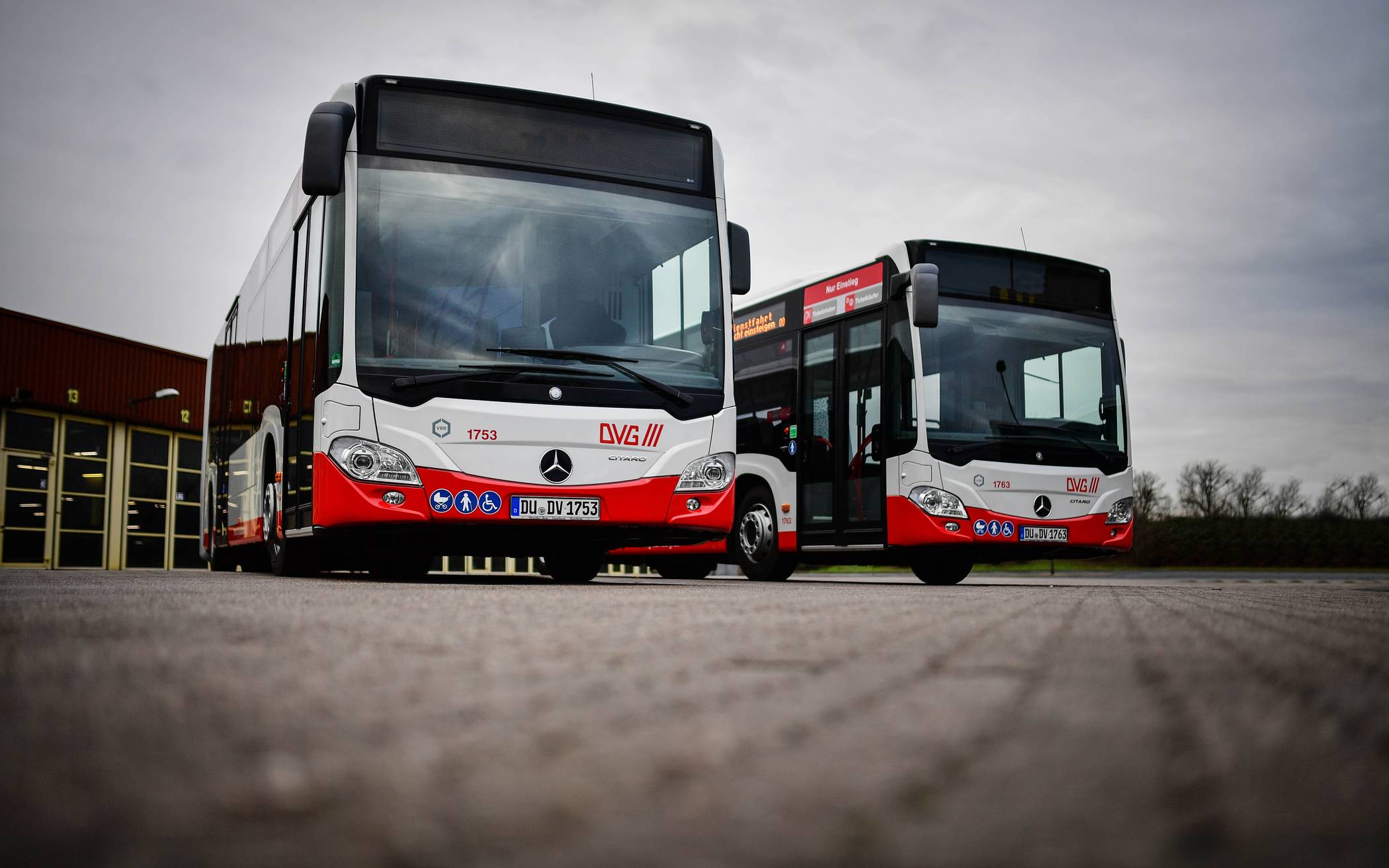 DVG-Busse der Linie 923, 927 und