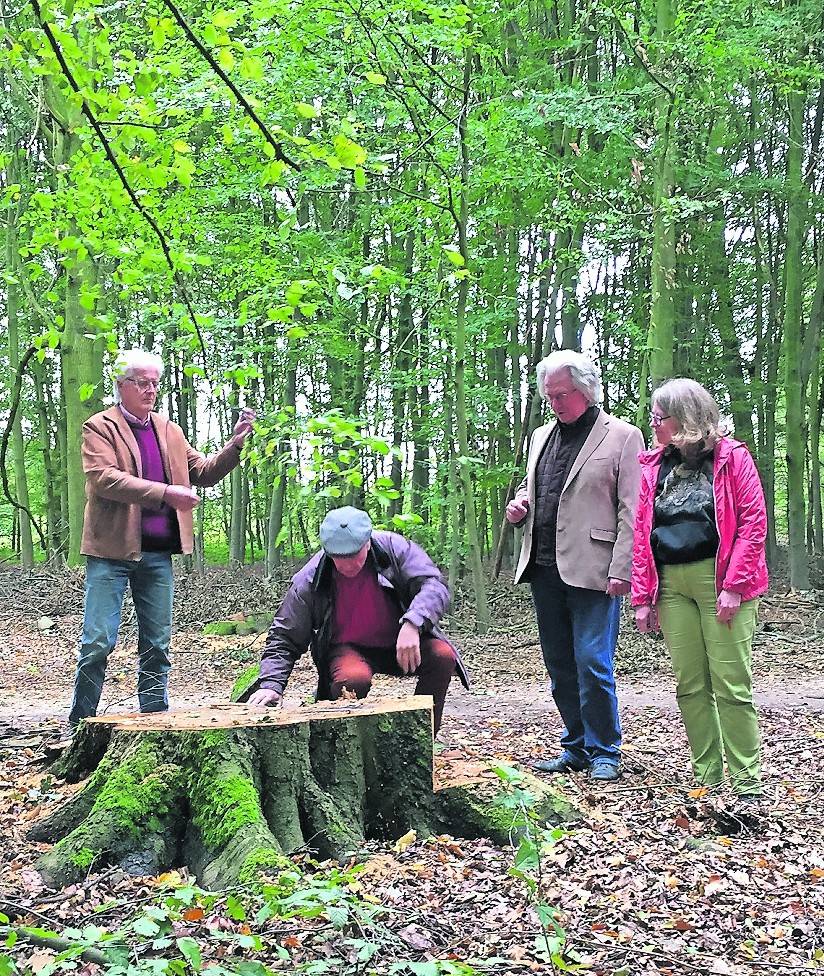  Baumbestandsaufnahme im Pongser Wäldchen: Christoph Goette, Alfred Schneider, Kurt Sasserath und Caroline Dormanns vom NABU Mönchengladbach (v. l.). 