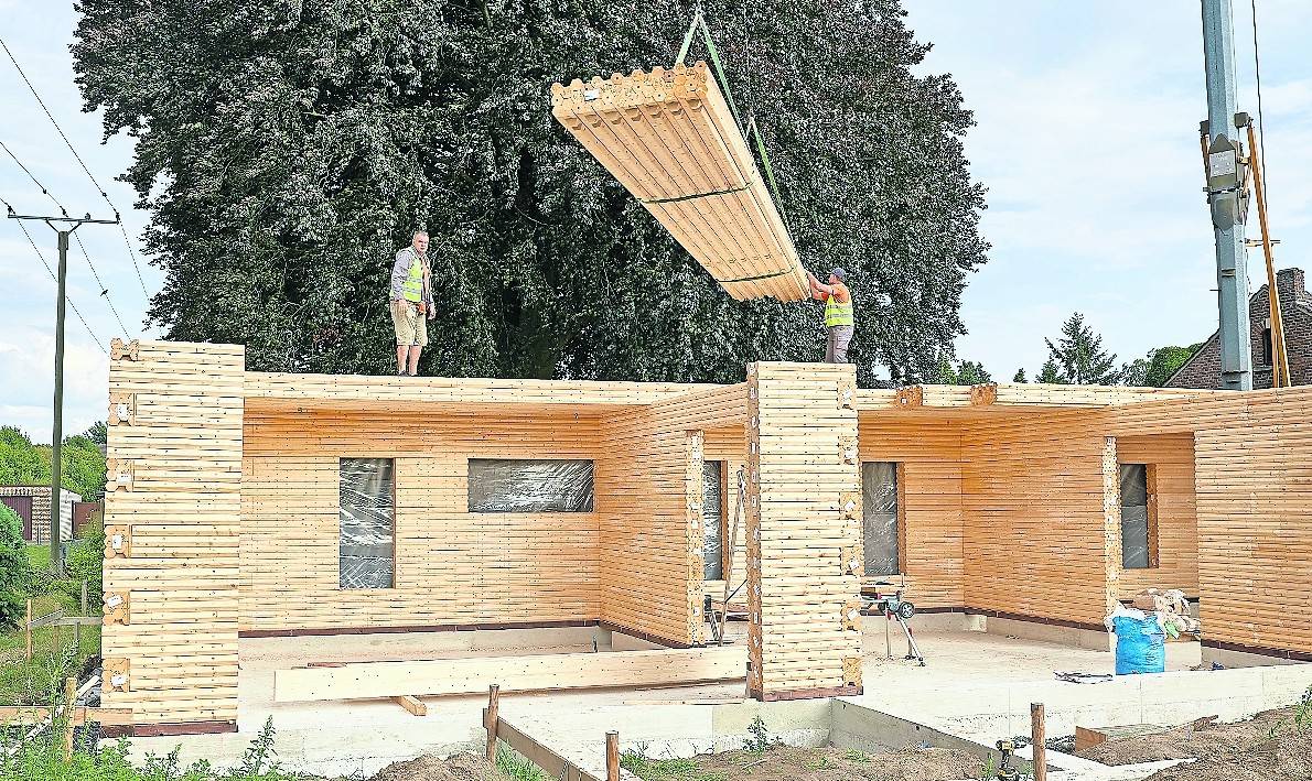 Das Projekt „Blutbuche“.