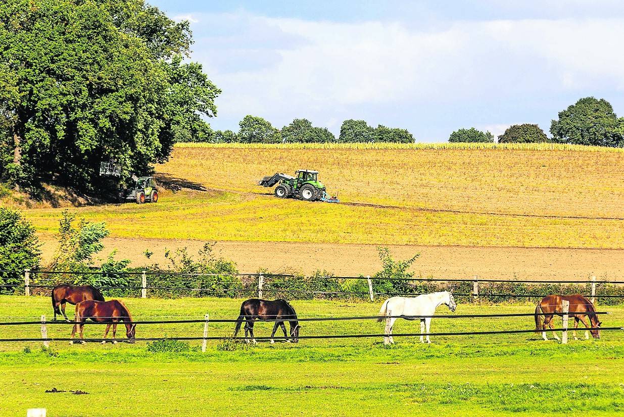 Eines der hart erwanderten Fotos von Siegfried Teichler.