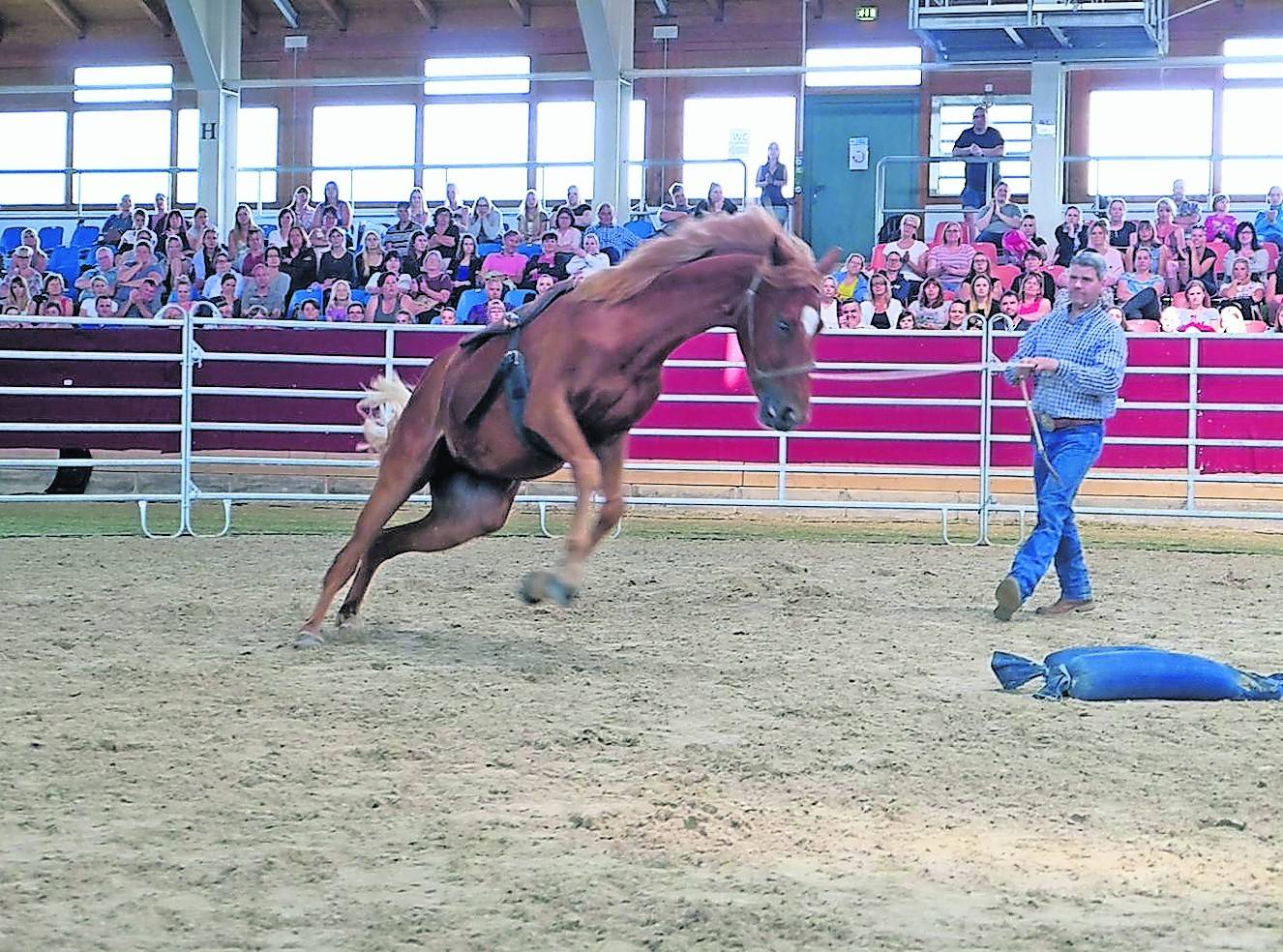  Karten gibt es leider keine mehr, aber wir hatten Gelegenheit, Bernd Hackl ein paar Fragen zu stellen. 