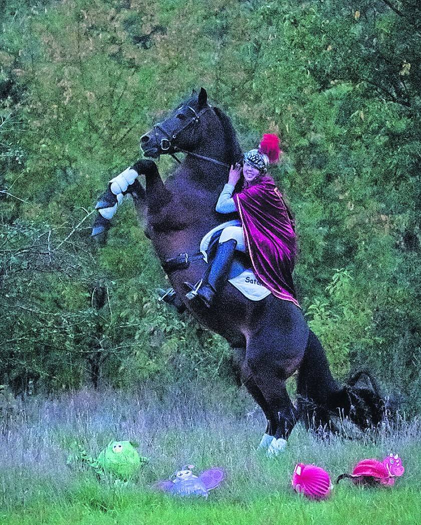 Bereit für Sankt Martin. Foto:www.regina-heise-photography.de