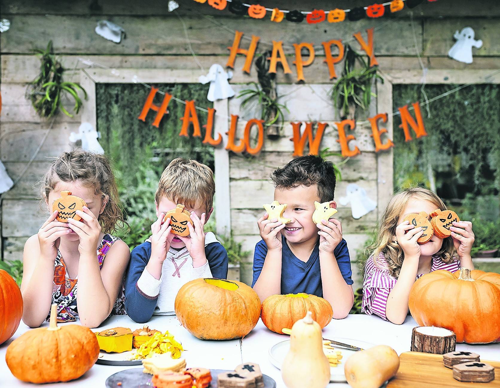  : Zombies, Geister und Vampire