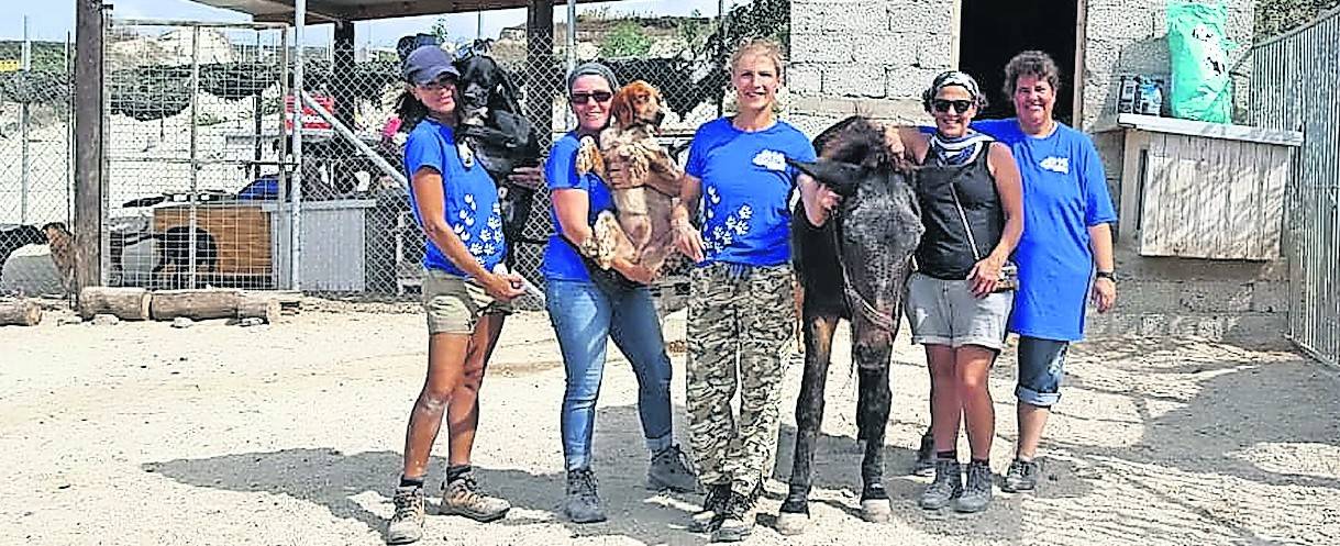Bild oben: Angelika Kaiser und Christina Kaloudi mit weiteren Helferinnen vom Verein.
