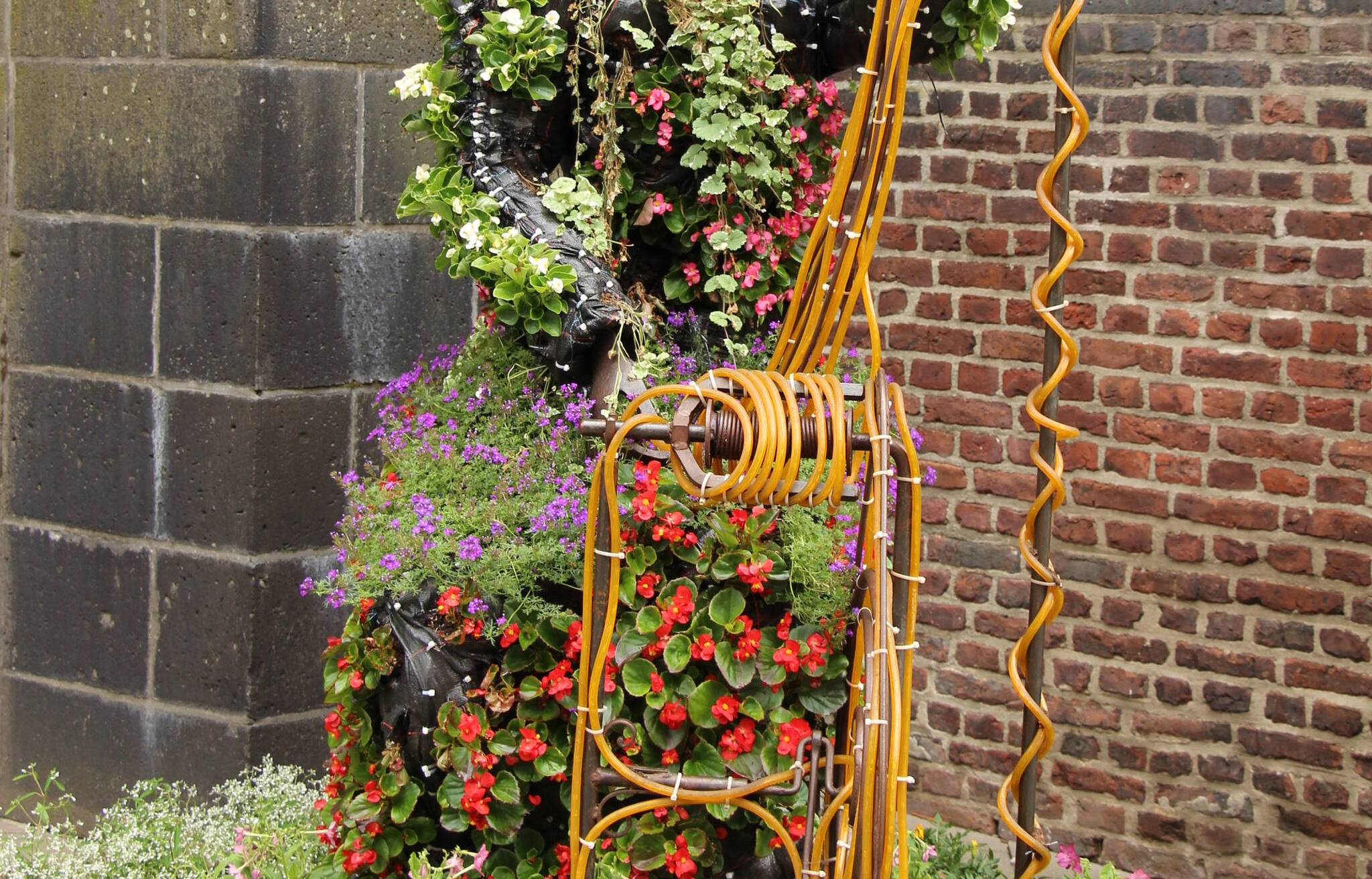 „Viersen blüht“ wieder 2021