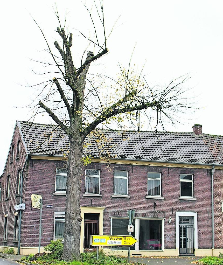 Es geht nicht mehr: Die Linde mitten in Leuth mussgefällt werden.