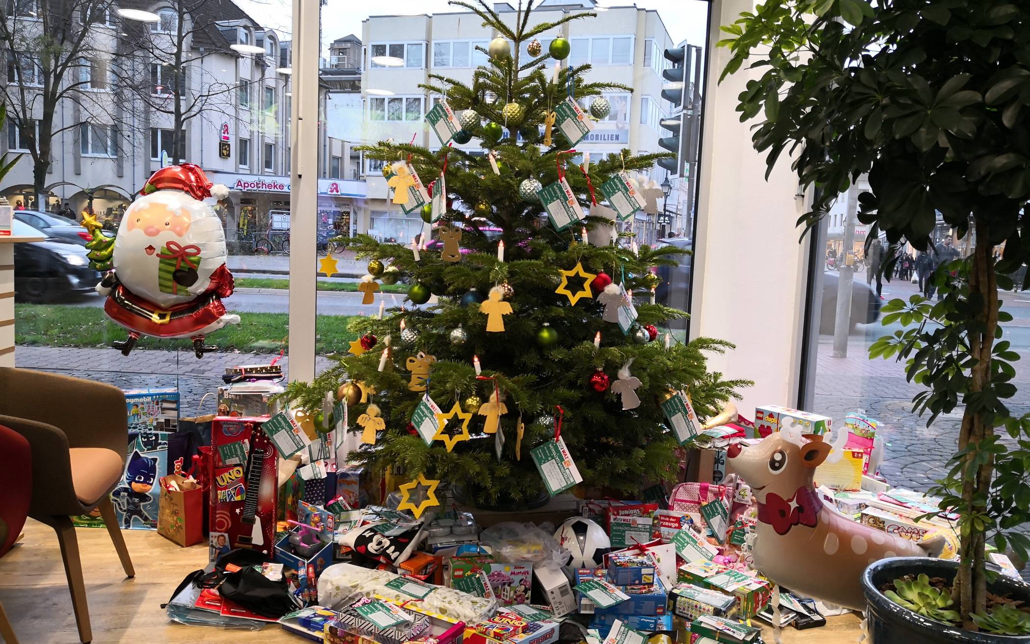 An insgesamt 13 Standorten stehen die Wunschbäume.