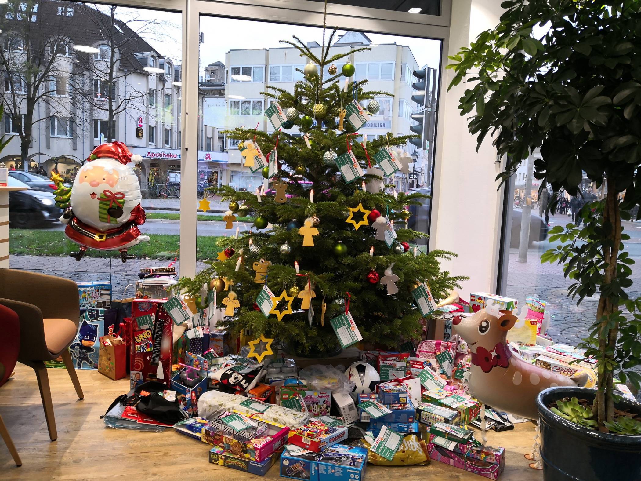  An insgesamt 13 Standorten stehen die Wunschbäume. 