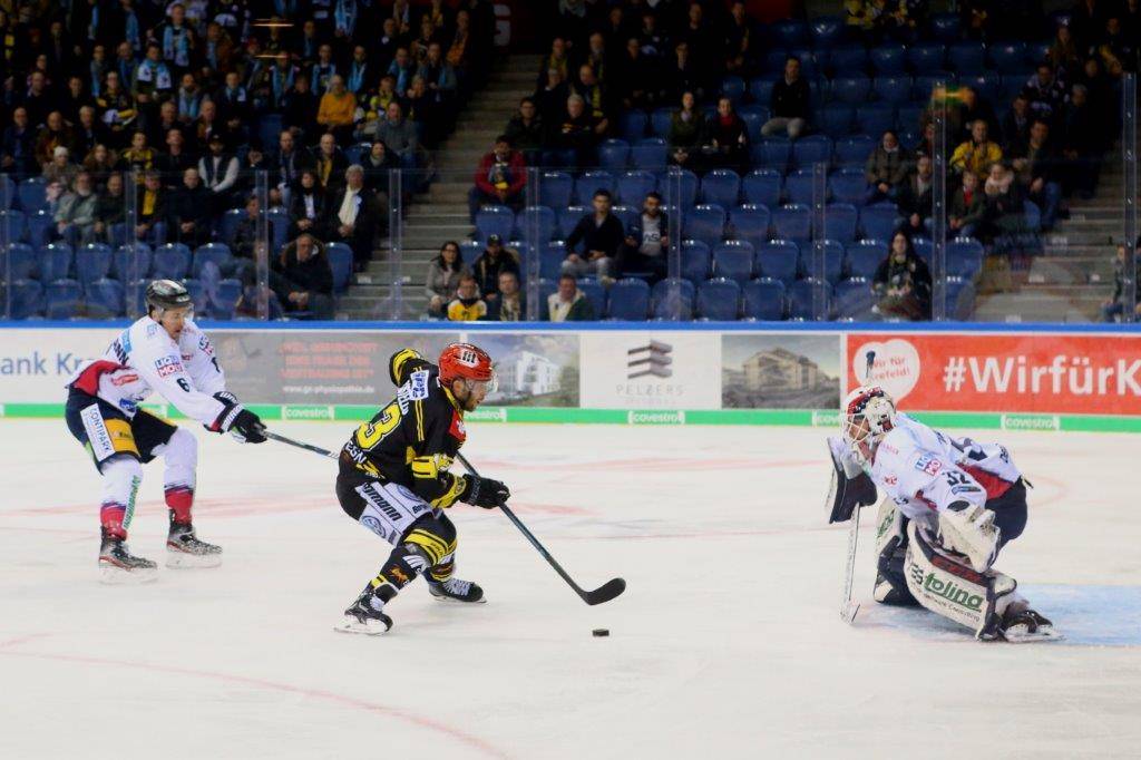 Pinguine schocken Hauptstadt-Bären