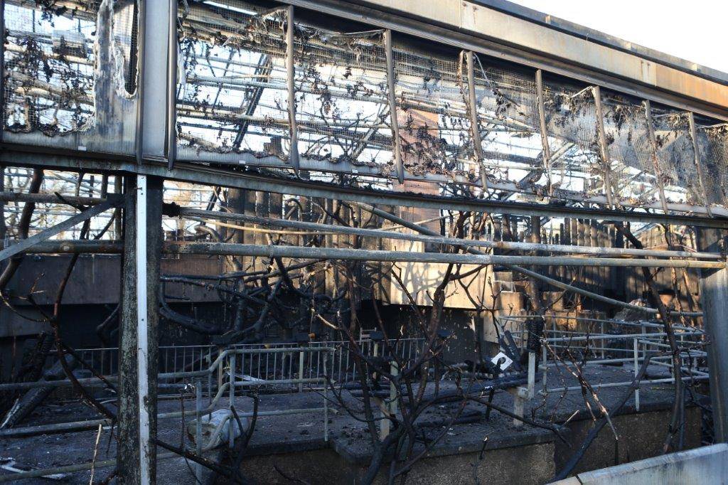Polizei ermittelt nach Feuer im Zoo