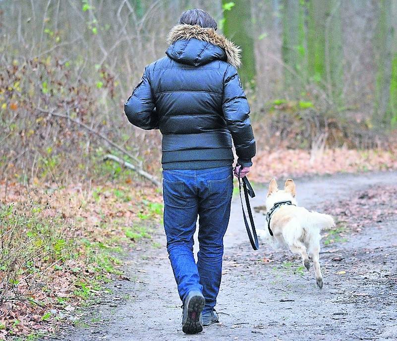 Hundebesitzer bekommen bald Post: Die Hundesteuerbescheide für 2020 werden ab Montag verschickt.