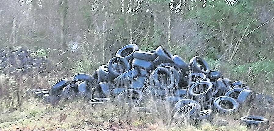 Wieder sind die mags-Mülldetektive fündig geworden: Fast 400 Altreifen wurden am ehemaligen Bökelbergstadion entsorgt.