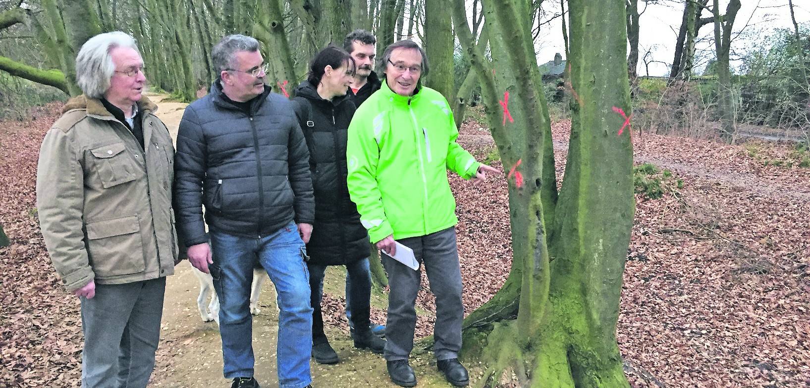  Kurt Sasserath, Vorsitzender NABU Mönchengladbach (l.), und Hajo Siemes, Grünen-Fraktionssprecher Ost (r.), mit den Anwohnern beim Sichten der markierten Bäume in Dahl Landwehr. Müssen die wirklich alle gefällt werden?, fragt man sich entsetzt. 