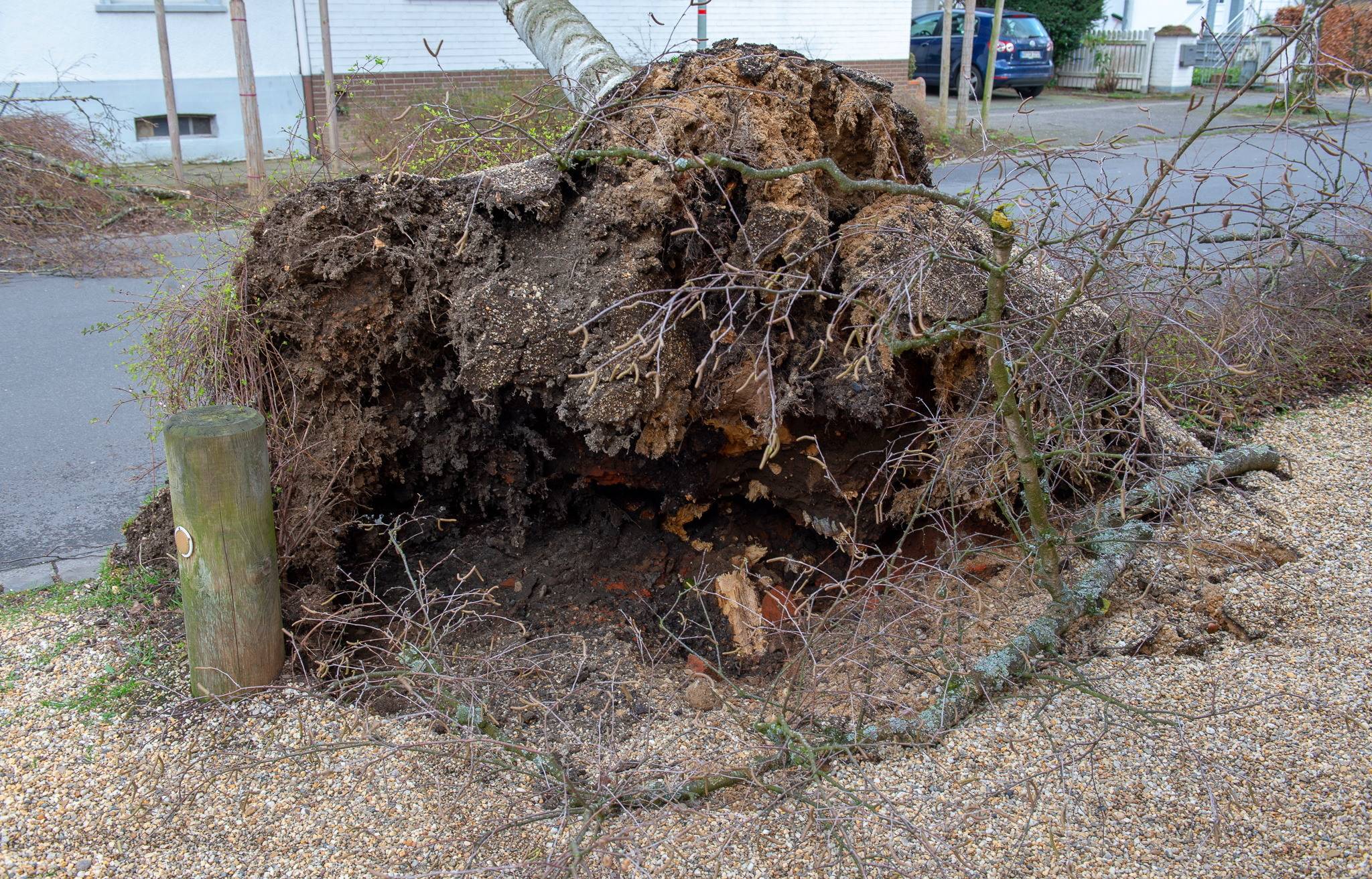 Entwurzelte Bäume und herunterfallende Dachschindeln stellen