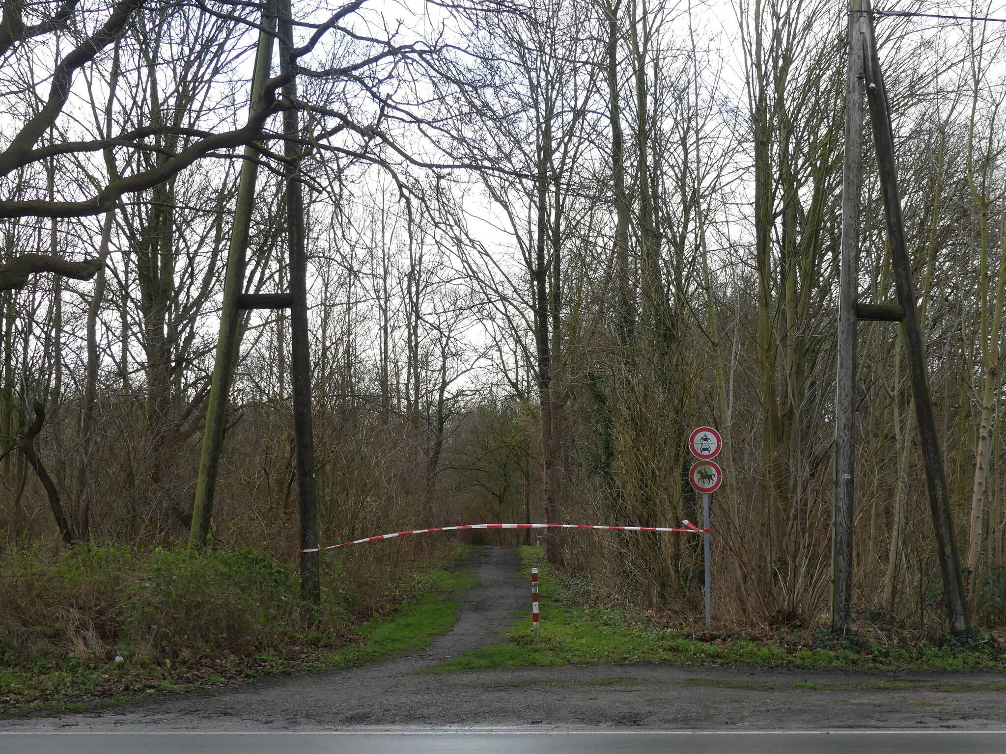 Sturmtief „Sabine“: Bisher rund 130 Einsätze  