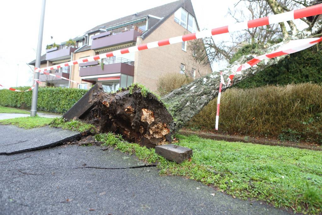 Orkan Sabine: Nur kleine Schäden – Einrichtungen öffnen wieder