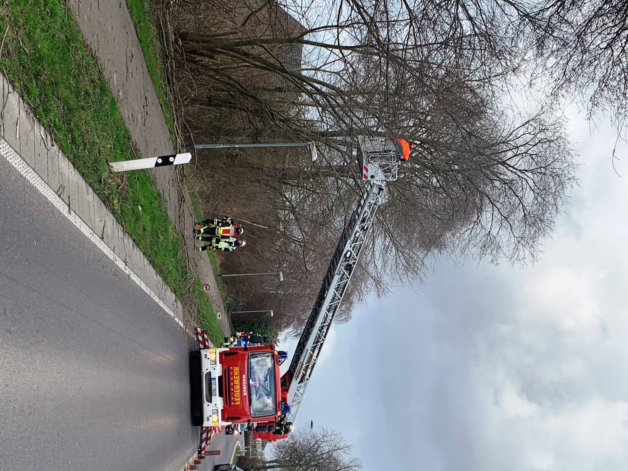  Auch am Montag war die Feuerwehr im Einsatz und musste Gehwege oder Straßen von umgestürzten Bäumen befreien. 