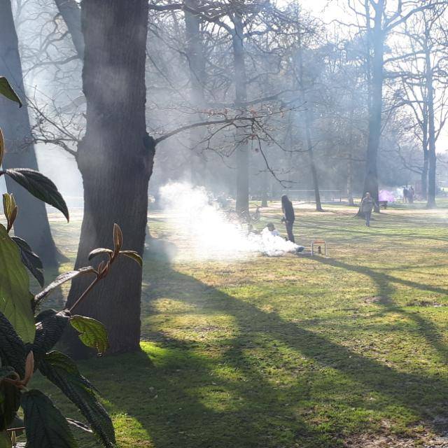 „Gerne“ wird im Stadtwald auch ungeeignetes Brennmaterial verwendet. Dann liegt Nebel über der Wohnsiedlung.
