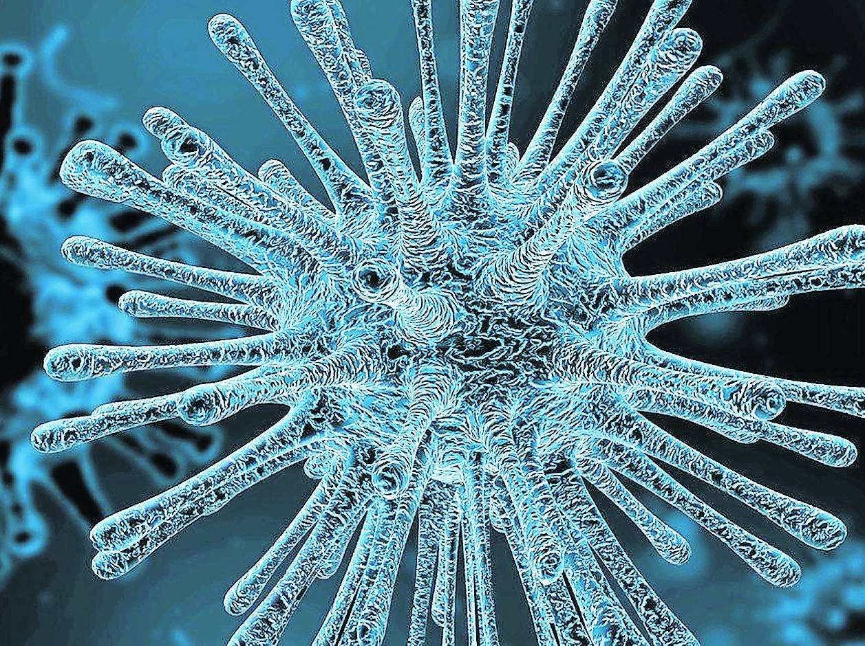  Viren gibt es viele. In diesem Frühjahr sind die der Grippe auch unterwegs. 