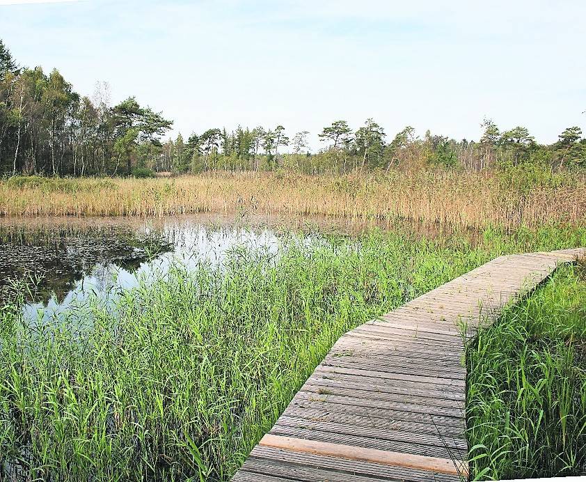  Die zertifizierten Premiumwanderwege des Naturpark Schwalm-Nette (auf dem Foto Schwalmbruch) sind sehr beliebt und bieten tolle Naturerlebnisse. 