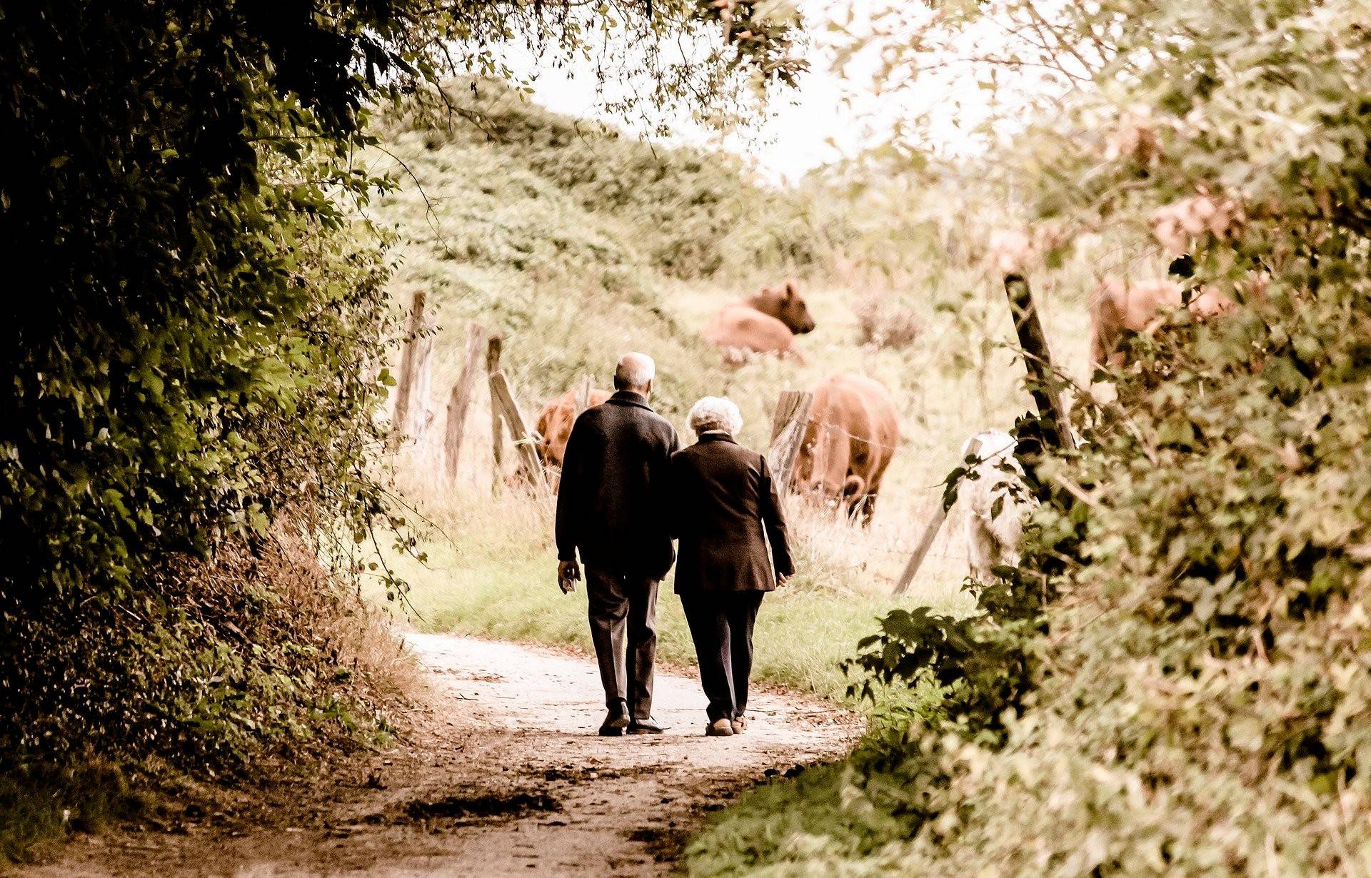  Spaziergänge, alleine, zu zweit oder mit der Familie, sind auch nach der jüngsten Rechtsordnung weiter erlaubt. 