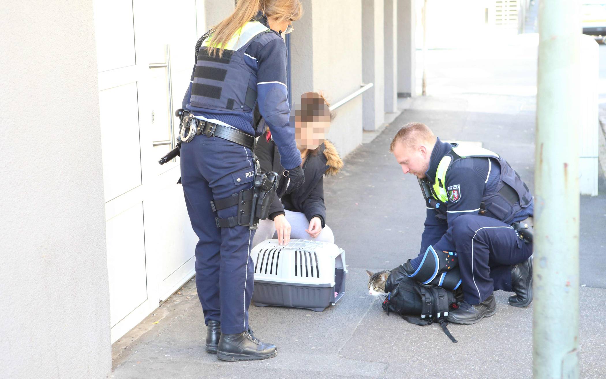 Tierquäler festgenommen