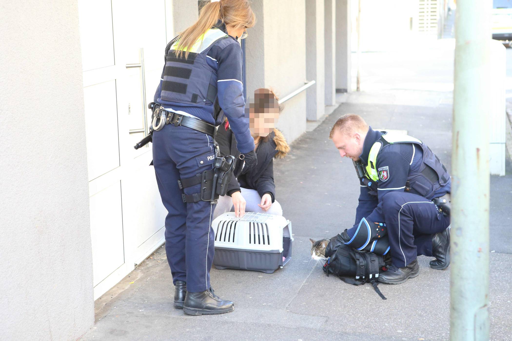 Polizei leitet Strafverfahren ein: Tierquäler festgenommen