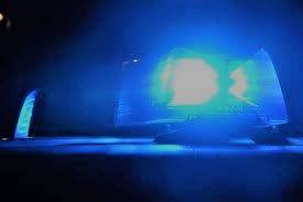 Hund auf Fußgänger losgelassen