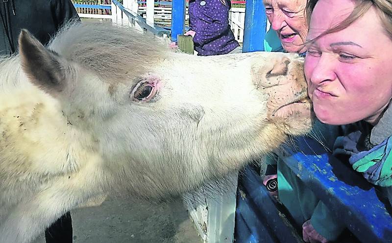 Mitarbeiterin Michaela Danker (vorne) mit Hildegard Miedel und Pony Heidi.