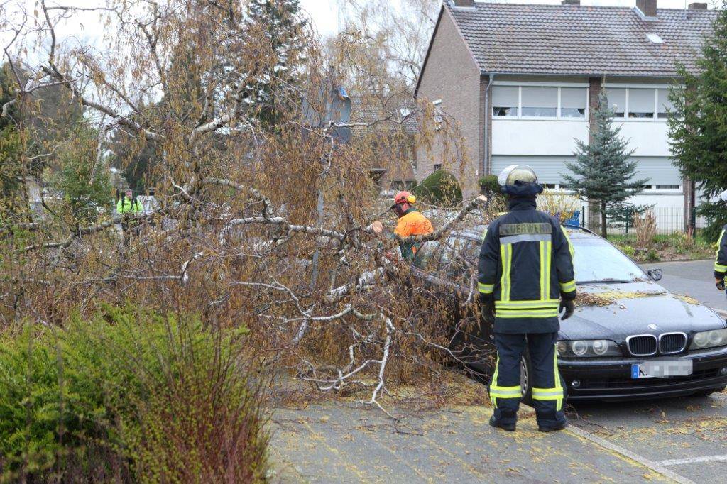 Windböe sorgt für Feuerwehreinsatz