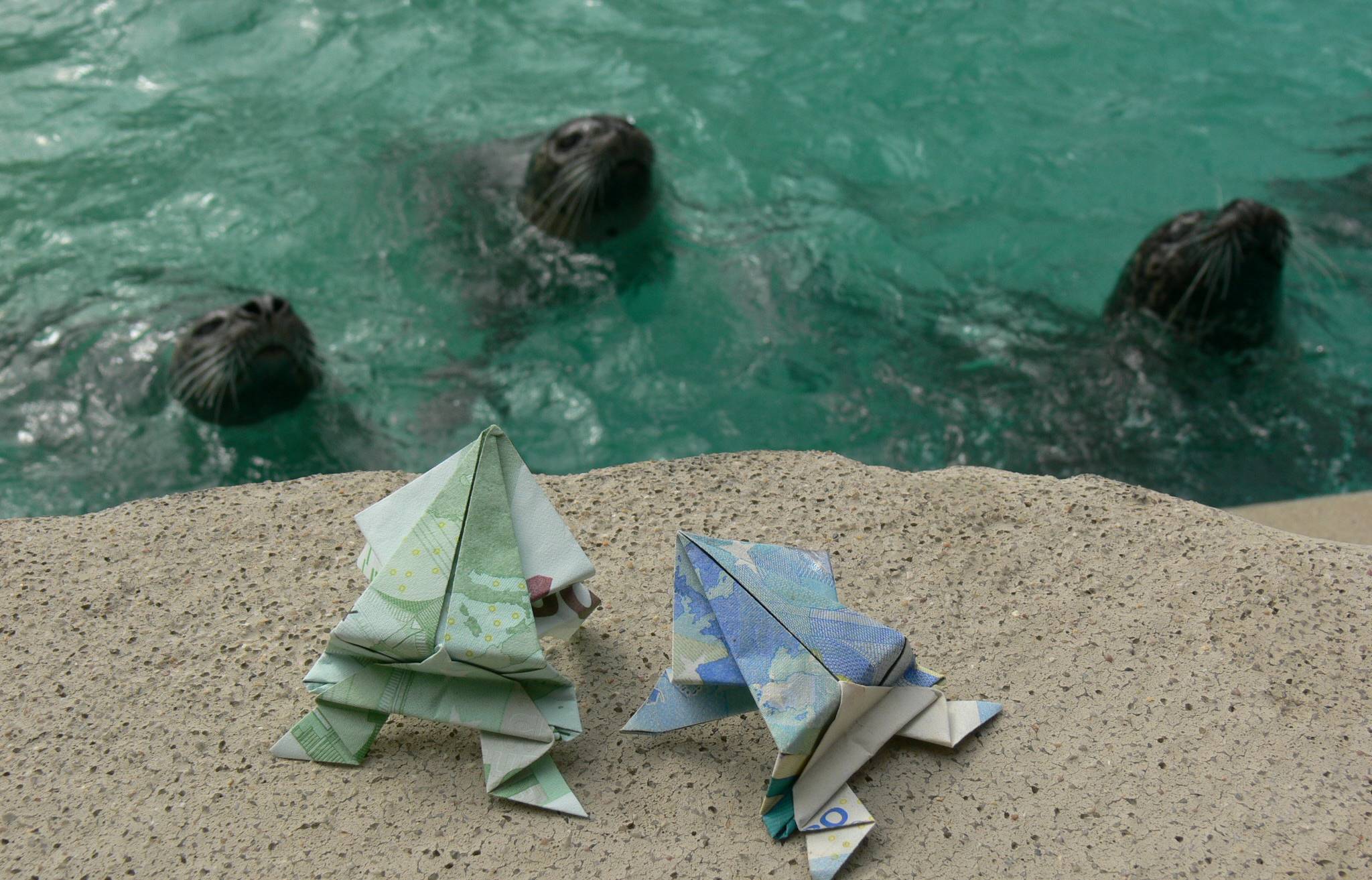 Der Tiergarten Mönchengladbach ist auf finanzielle Unterstützung angewiesen.