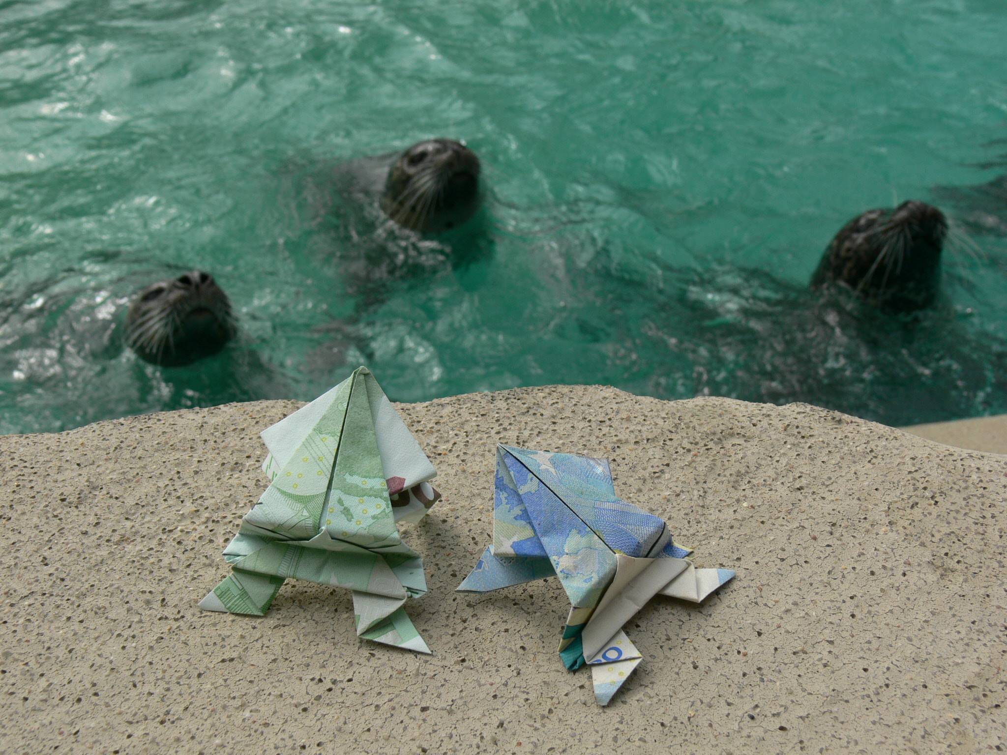 Der Tiergarten Mönchengladbach ist auf finanzielle Unterstützung angewiesen.