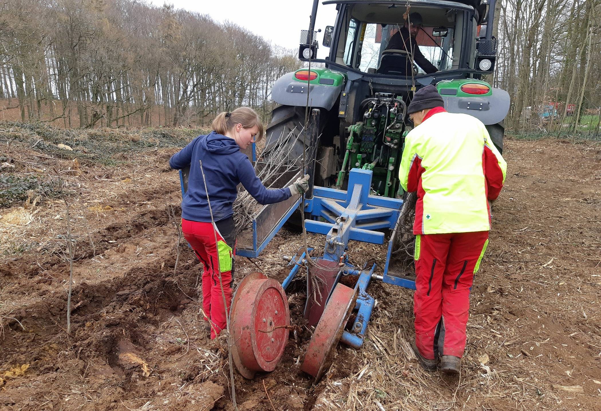 Der „Pflanz-Juppi“ bei seiner Arbeit auf den Süchtelner Höhen.