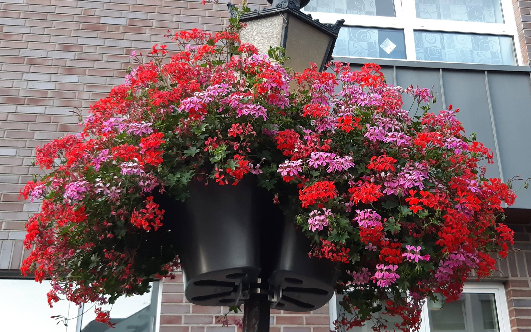 „Danke, dass Ihr uns treu bleibt!“