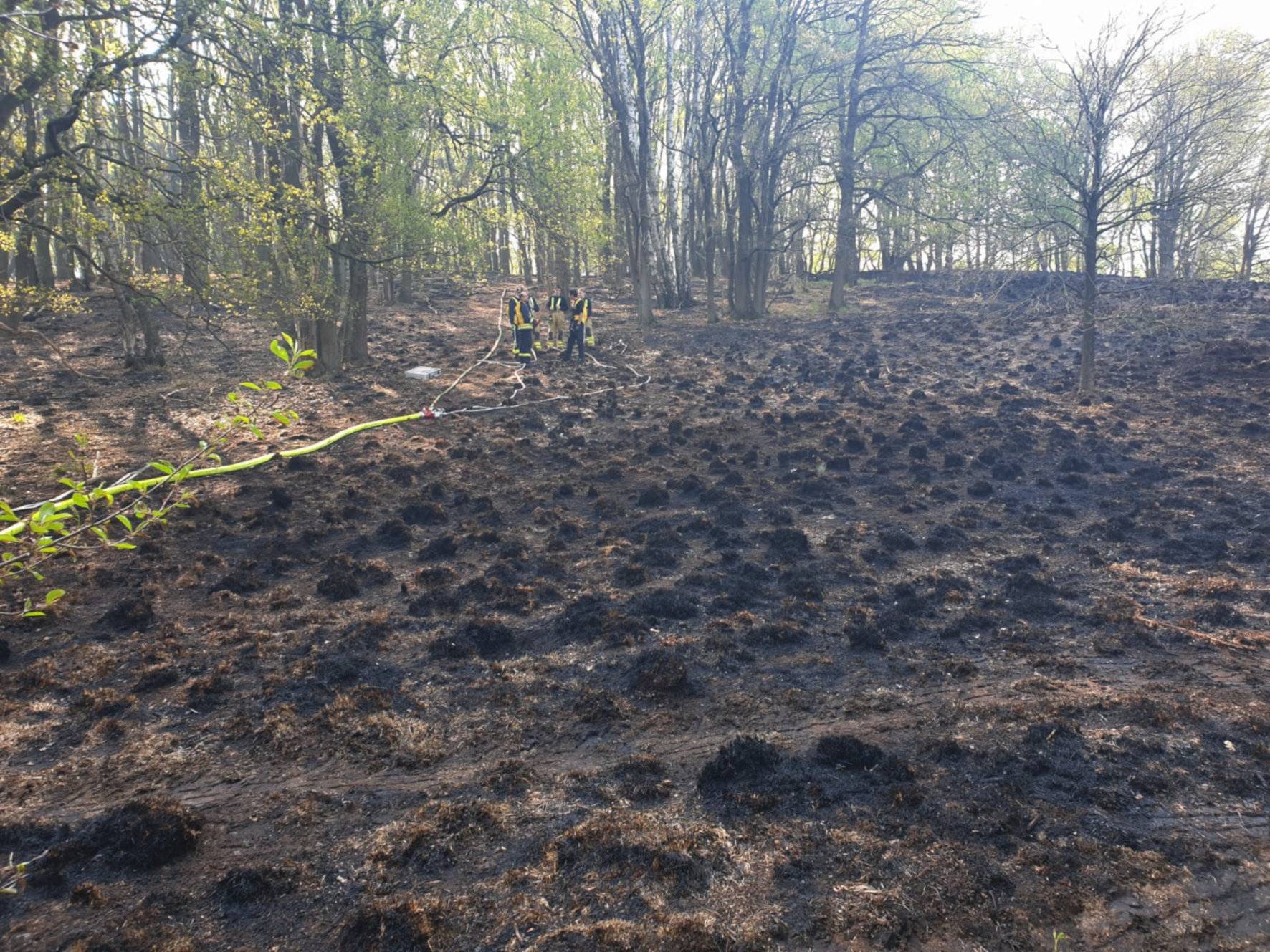 In Bereichen, in denen es bereits gebrannt hat, löschen die Einsatzkräfte unterirdische Glutnester.