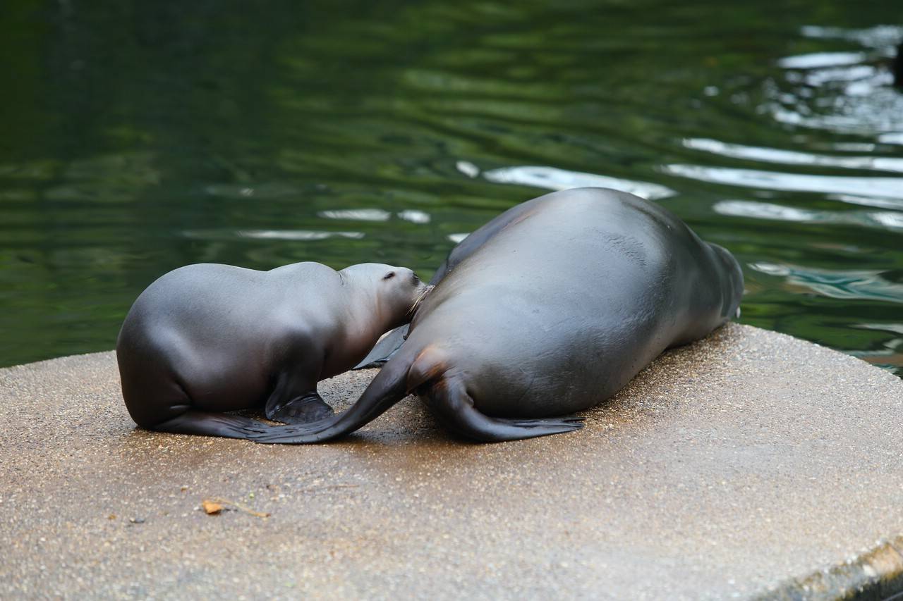 Impressionen aus dem Zoo
