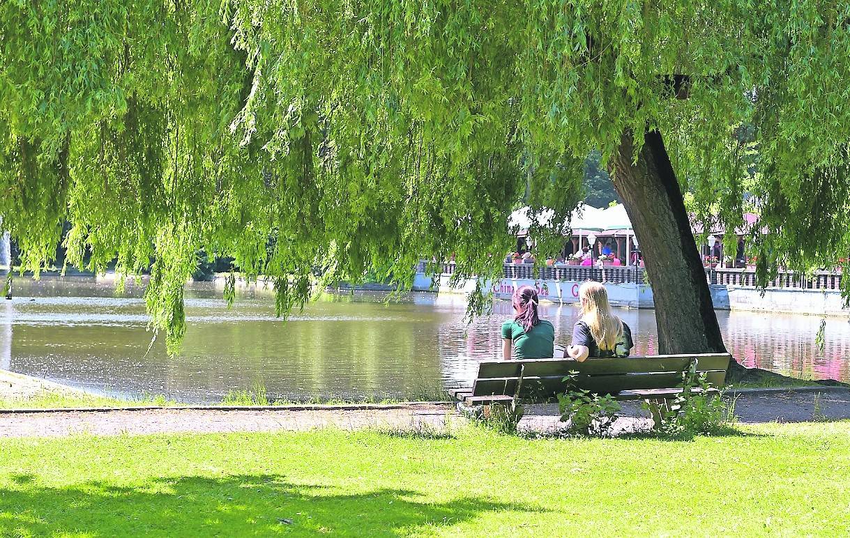  Für die Umgestaltung des Konrad-Adenauer-Parks in Alt-Willich stehen 408.000 Euro an Fördermitteln zur Verfügung. 