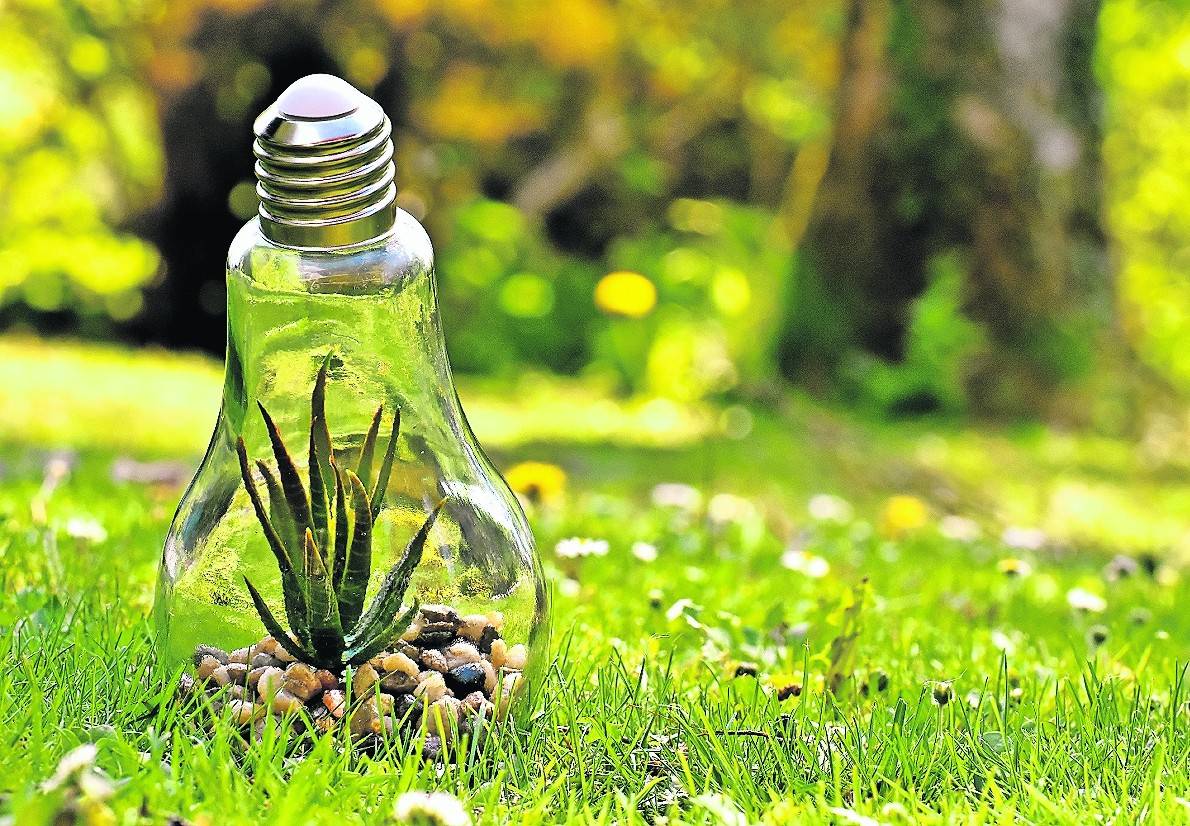 Clevere Ideen für Klima- und Umweltschutz sind auch in diesem Jahr beim Klimaschutzpreis der Burggemeinde Brüggen gefragt.