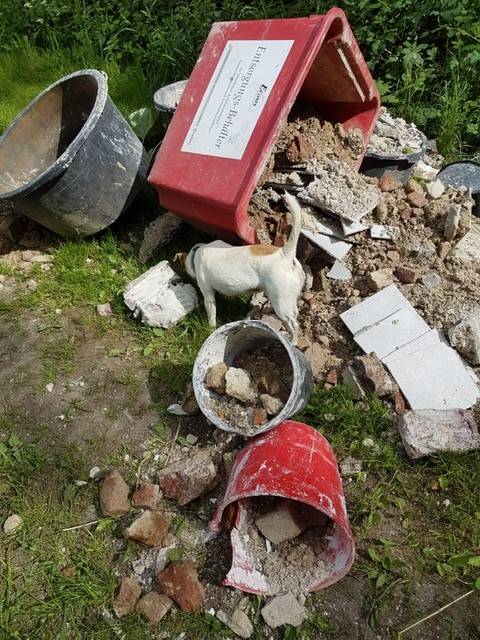 Bauschutt im Naturschutzgebiet entsorgt